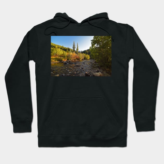 Boulder Colorado Canyon Creek Fall Foliage Hoodie by WayneOxfordPh